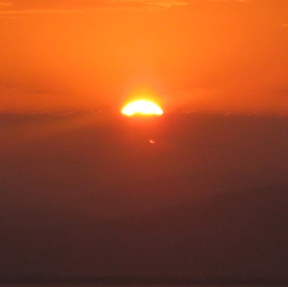 Meet your Posher, Yasi